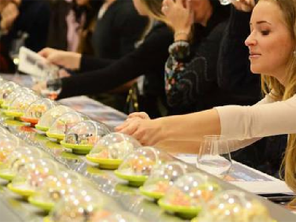 Twisted Egg Lottery Series